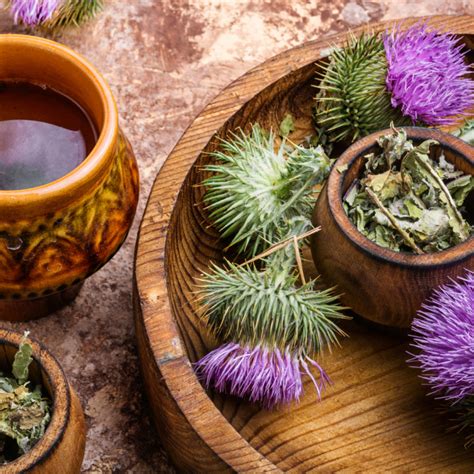 Účinky pestreca mariánskeho na pečeň