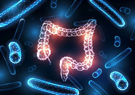 Črevná mikroflóra a antibiotiká