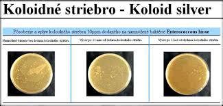 Ako koloidné striebro ničí baktérie