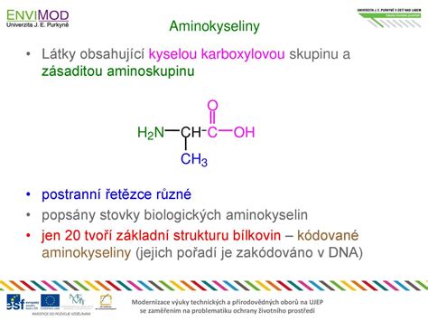 Aminokyseliny a šport