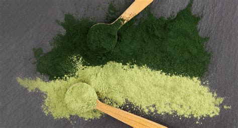 Chlorella a Spirulina - nutričné hodnoty a účinky