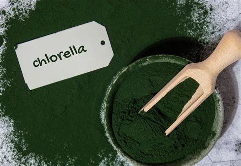 Chlorella a jej účinky