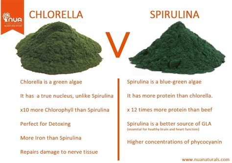 Chlorella vs Spirulina