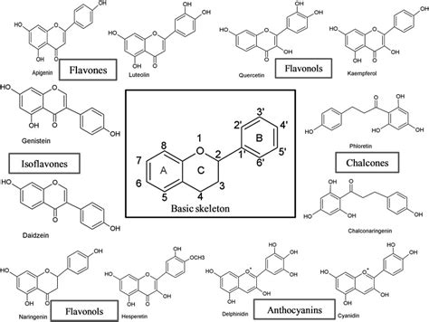 Druhy flavonoidov