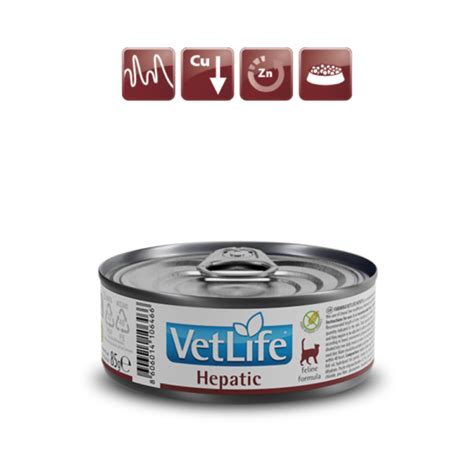 Farmina Vet Life Hepatic Cat