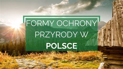 Formy psyllia