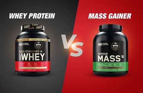 Gainer vs Protein