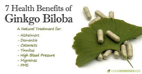 Ginkgo Biloba Benefits