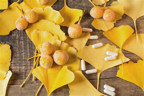 Ginkgo Biloba listy na jeseň