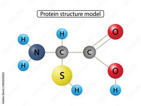 Grafika protein