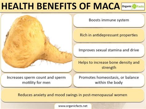 Health Benefits of Maca Root