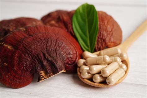 Huba Reishi účinky