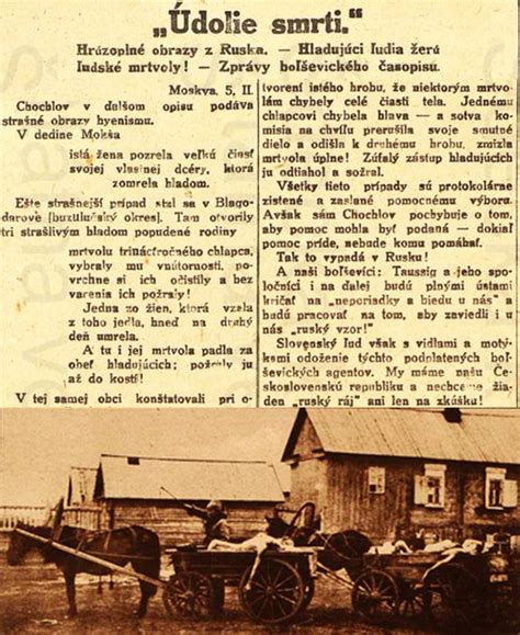 Ilustračná fotografia k téme zdravia kĺbov psov