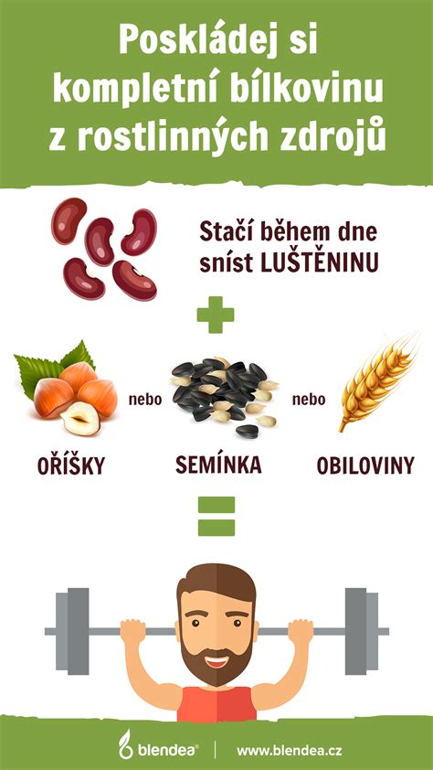 Infografika: Probiotiká v potravinách