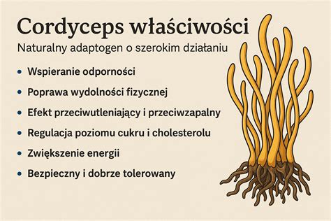 Infografika účinkov Cordyceps