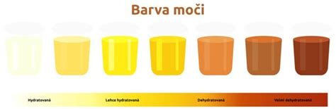 Infografika farieb moču a ich významu