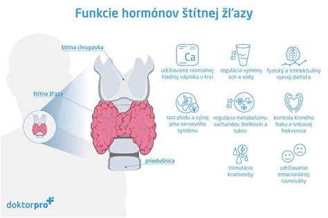 Infografika zdravia štítnej žľazy