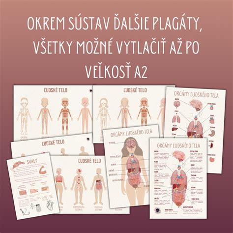 Infografika znázorňujúca význam horčíka pre ľudské telo