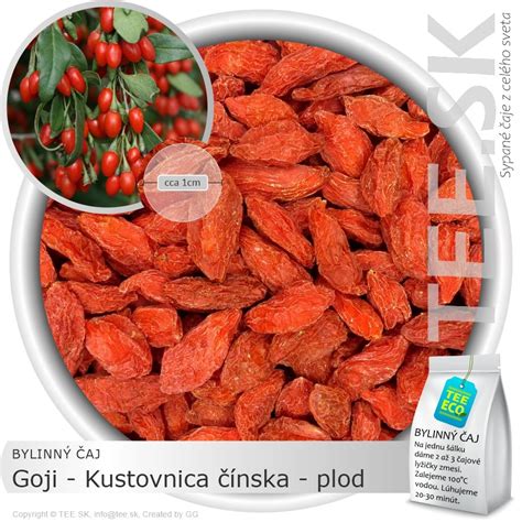 Kustovnica čínska (Goji)