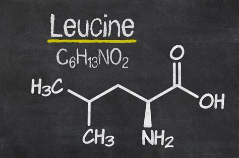 Leucín, izoleucín a valín