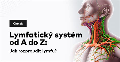 Lymfatický systém