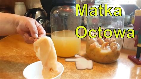 Matka octu