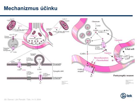 Mechanizmus účinku monakolínu K