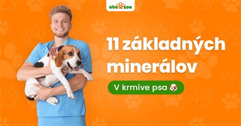 Minerály v krmive pre psov