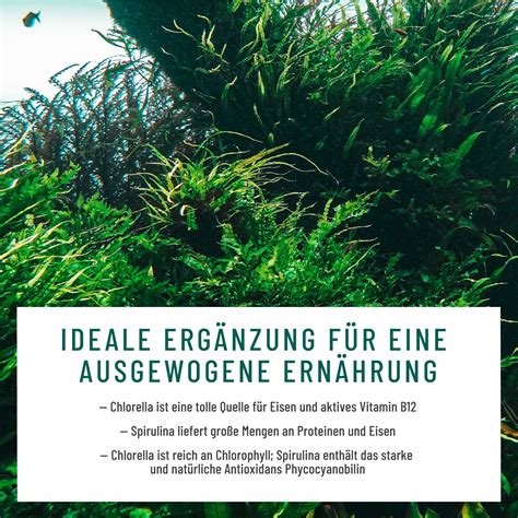 Naturtreu AlgenDUO