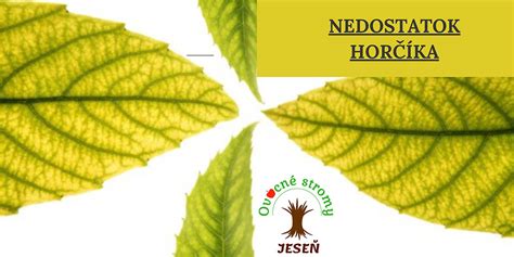 Nedostatok horčíka