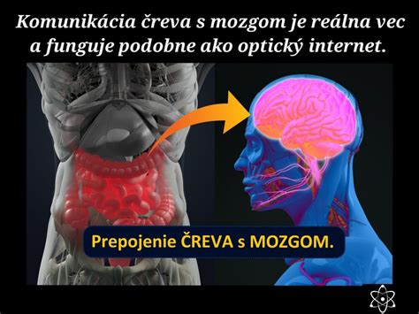 Osa črevo-mozog