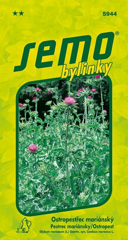 Ostropestrec mariánsky