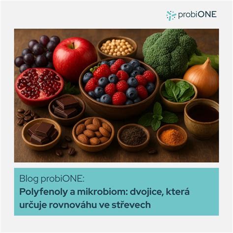 Polyfenoly v strave