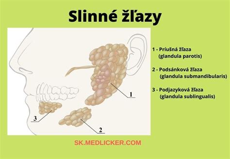 Príčiny horkosti v ústach