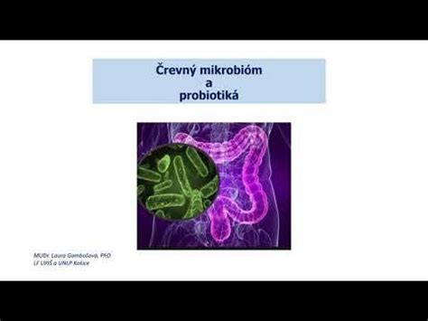 Probiotiká a črevný mikrobióm