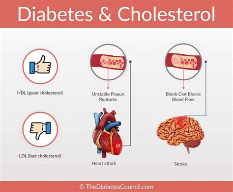 Q10, Diabetes a Cholesterol
