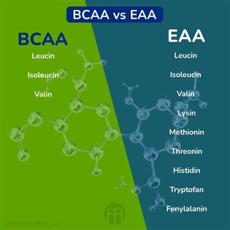 Rozdiely medzi BCAA a EAA