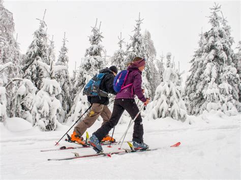 Skialpinizmus
