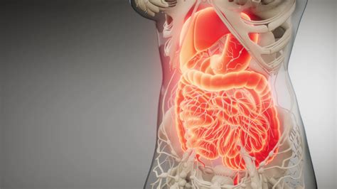 Syndróm dráždivého čreva