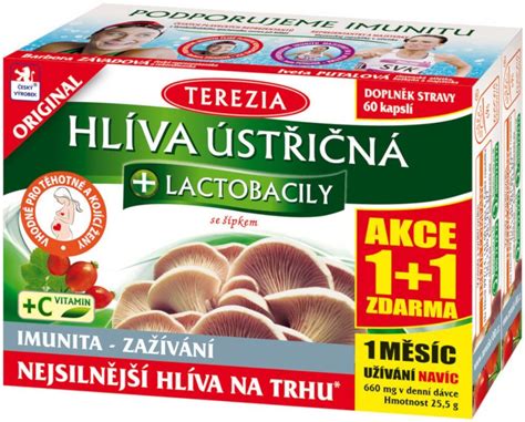 Terezia Hliva ustricová + Laktobacily so šípkami