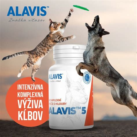 Výživové doplnky pre psy