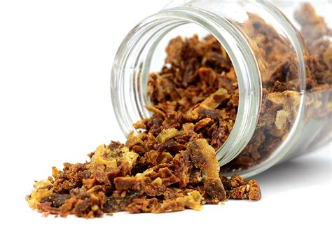 Včelí propolis