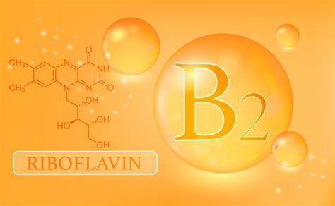 Vitamín B2 - riboflavín