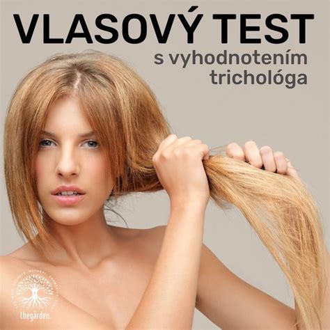 Vlasový test