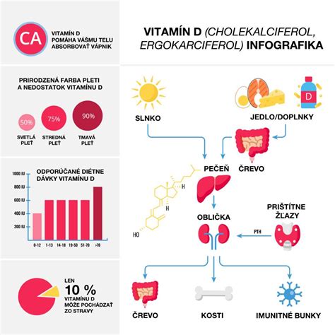Využitie vitamínu D v tele
