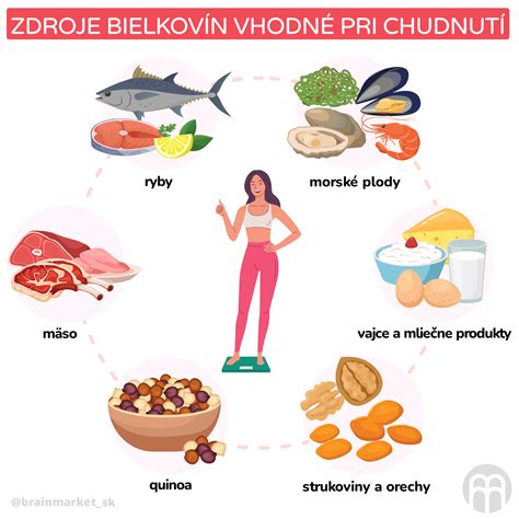 Zdroje bielkovín