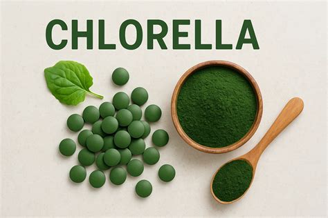 chlorella
